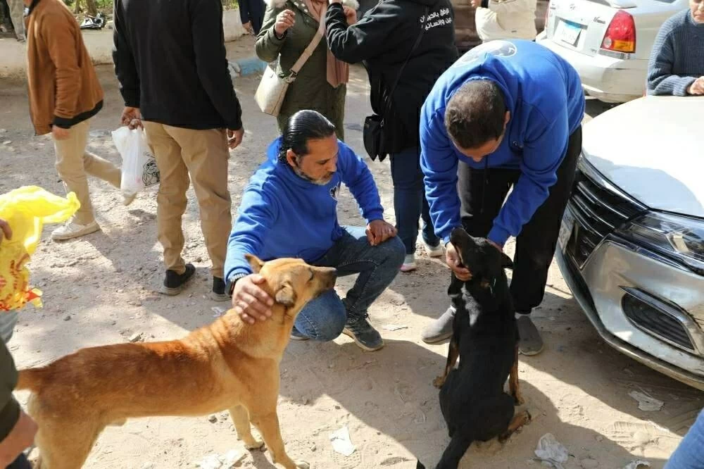 1135 كلبًا في الأسبوع الأول.. بيان جديد من وزارة الزراعة لمواجهة أزمة كلاب الشوارع
