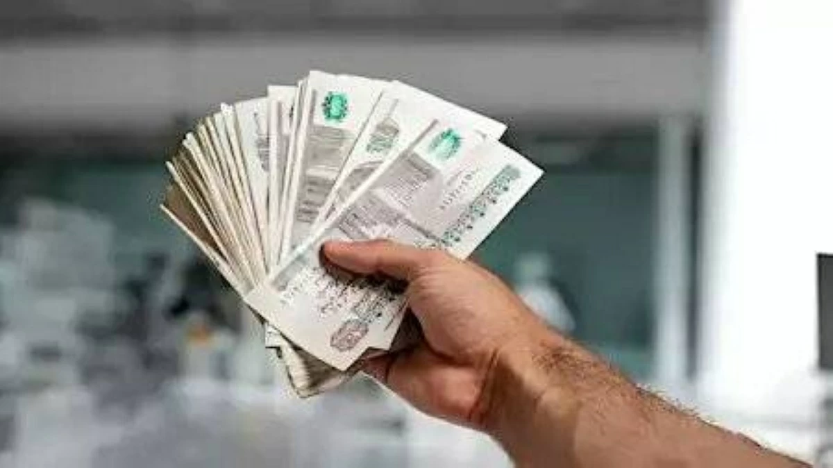بفائدة متدرجة تصل لـ 22%.. تفاصيل الشهادة البلاتينية من البنك الأهلي 2026 لمدة 3 سنوات