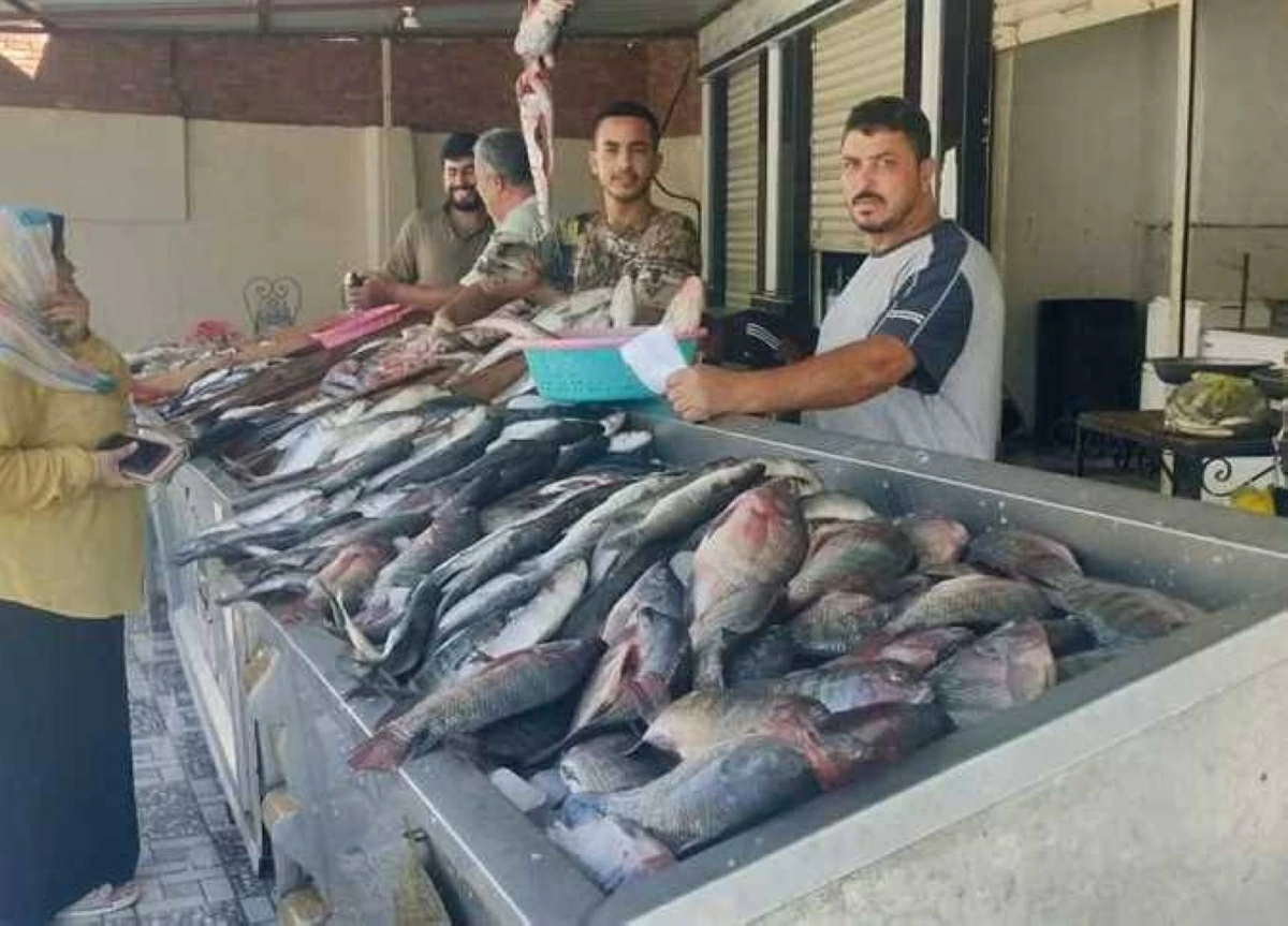 أسعار الأسماك اليوم الثلاثاء 5 مايو في أسواق مطروح