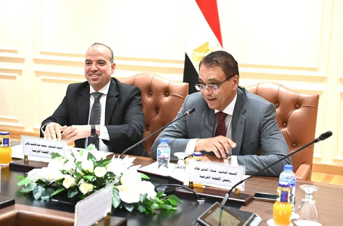 اللجنة الفرعية لقانون الإدارة المحلية تقرر إعداد قانونين للوحدات والمجالس المحلية