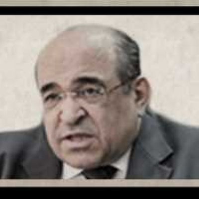 نائب الرئيس