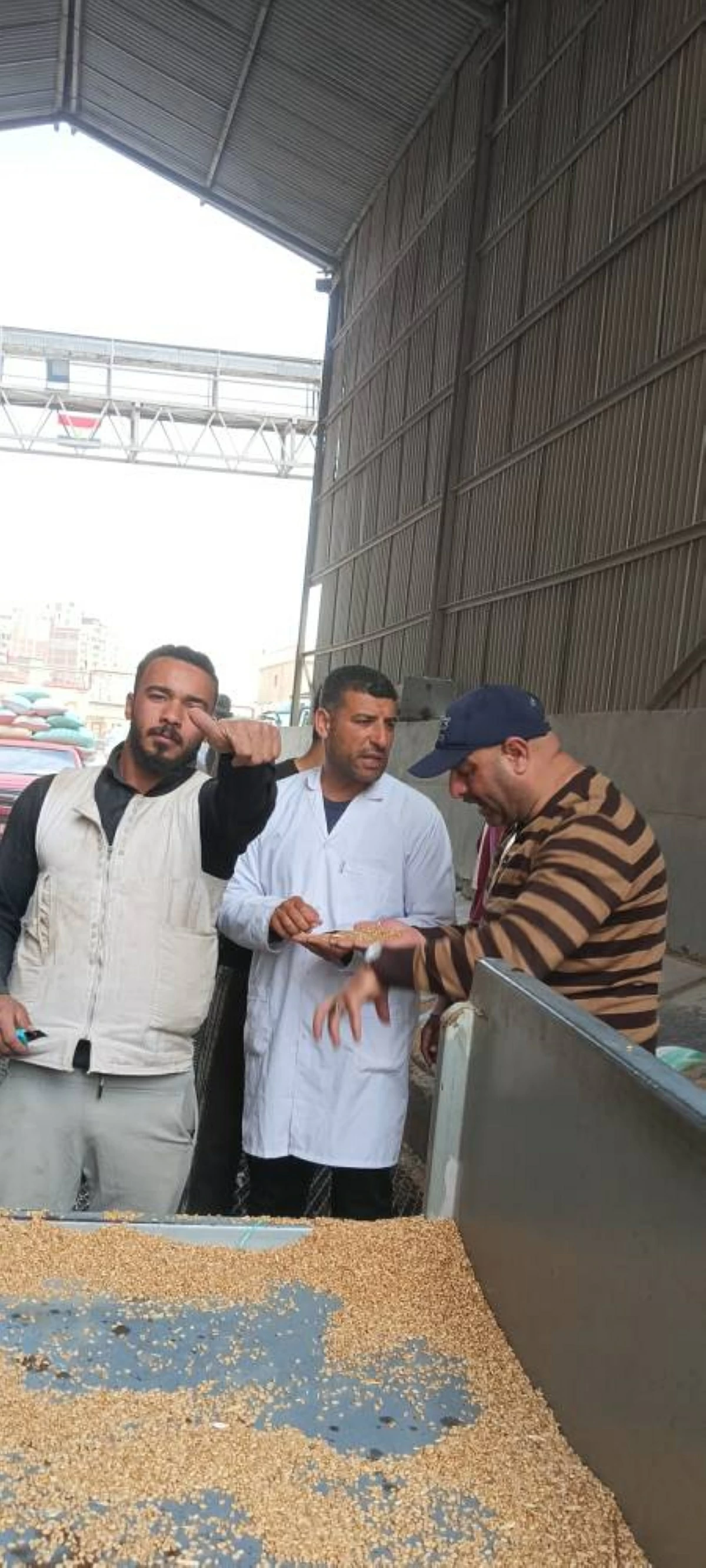 مدير صومعة كفر الشيخ: سعة التخزين 30 ألف طن عبر 6 خلايا.. ومنظومة دقيقة لاستقبال وتداول الأقماح