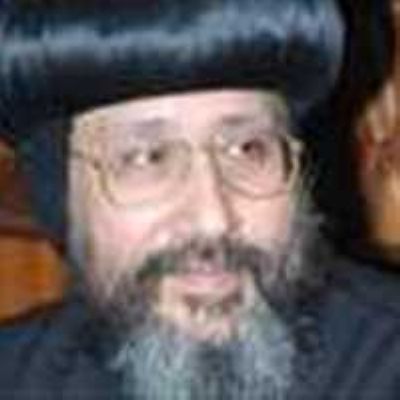 «الناصر محمد أبو الفتوح»
