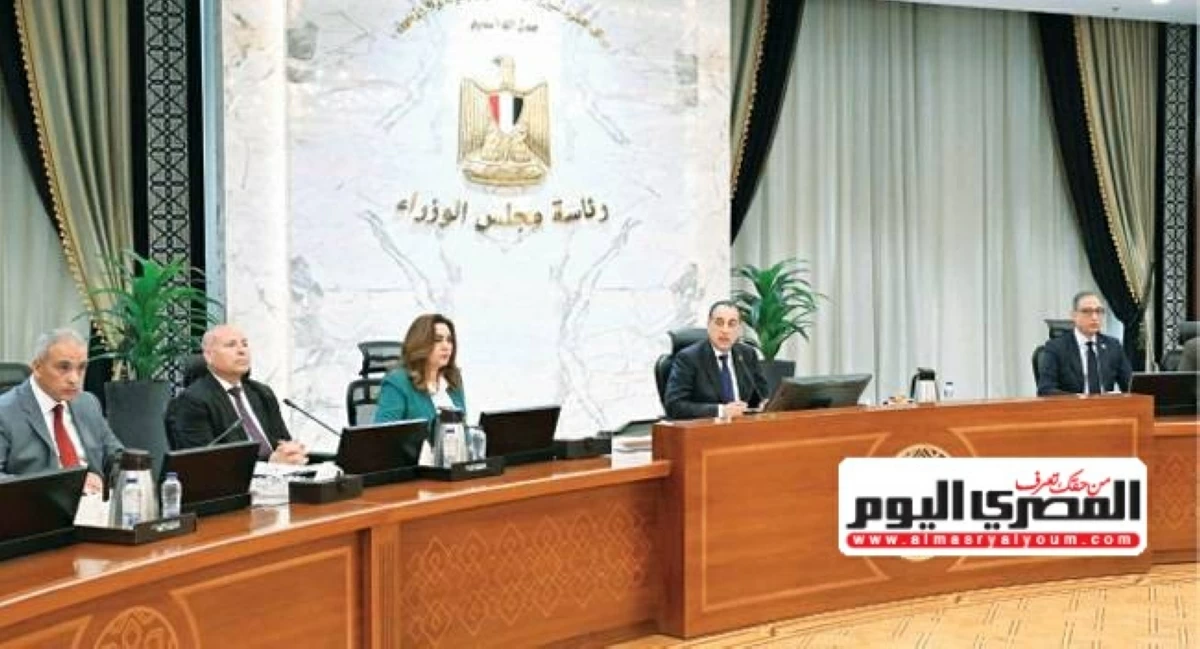 رئيس الوزراء يشدد على ضرورة مواجهة انتشار «الكلاب الضالة»
