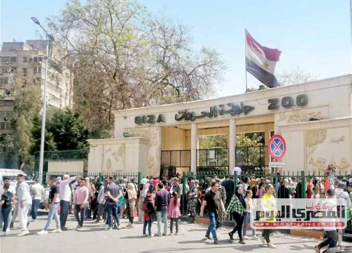 رسميًا بعد تغيير اسمها.. موعد افتتاح حديقة الحيوان بالجيزة 2026 وحقيقة تشغليها في عيد الأضحى