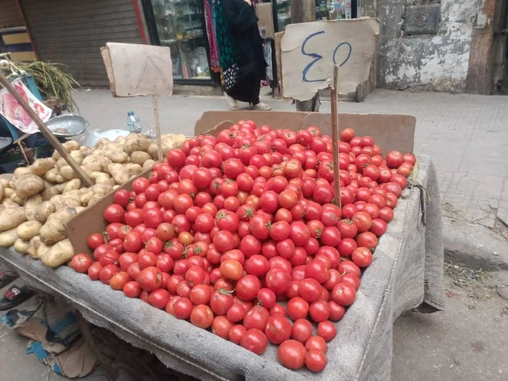 من 70 لـ 35.. تراجع نسبي في أسعار الطماطم بالقاهرة والقليوبية بعد تصريحات مدبولي