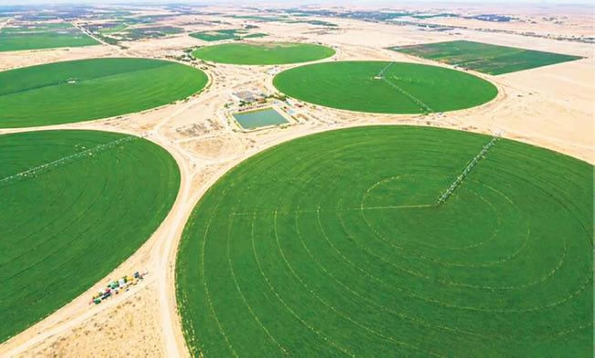 خبراء: الدلتا الجديدة «إنجاز غير مسبوق» في تاريخ الدولة المصرية