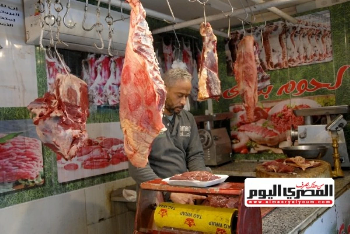 بتخفيضات تصل إلى 25%.. التموين: التوسع فى معارض «أهلًا بالعيد» والمنافذ المتحركة