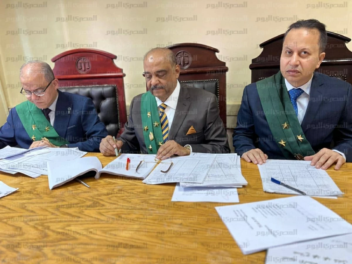 «جذع شجرة ومديونية مليونية».. النص الكامل لحيثيات المؤبد لمتهم بقتل «تاجرة عقارات أوسيم» (خاص)