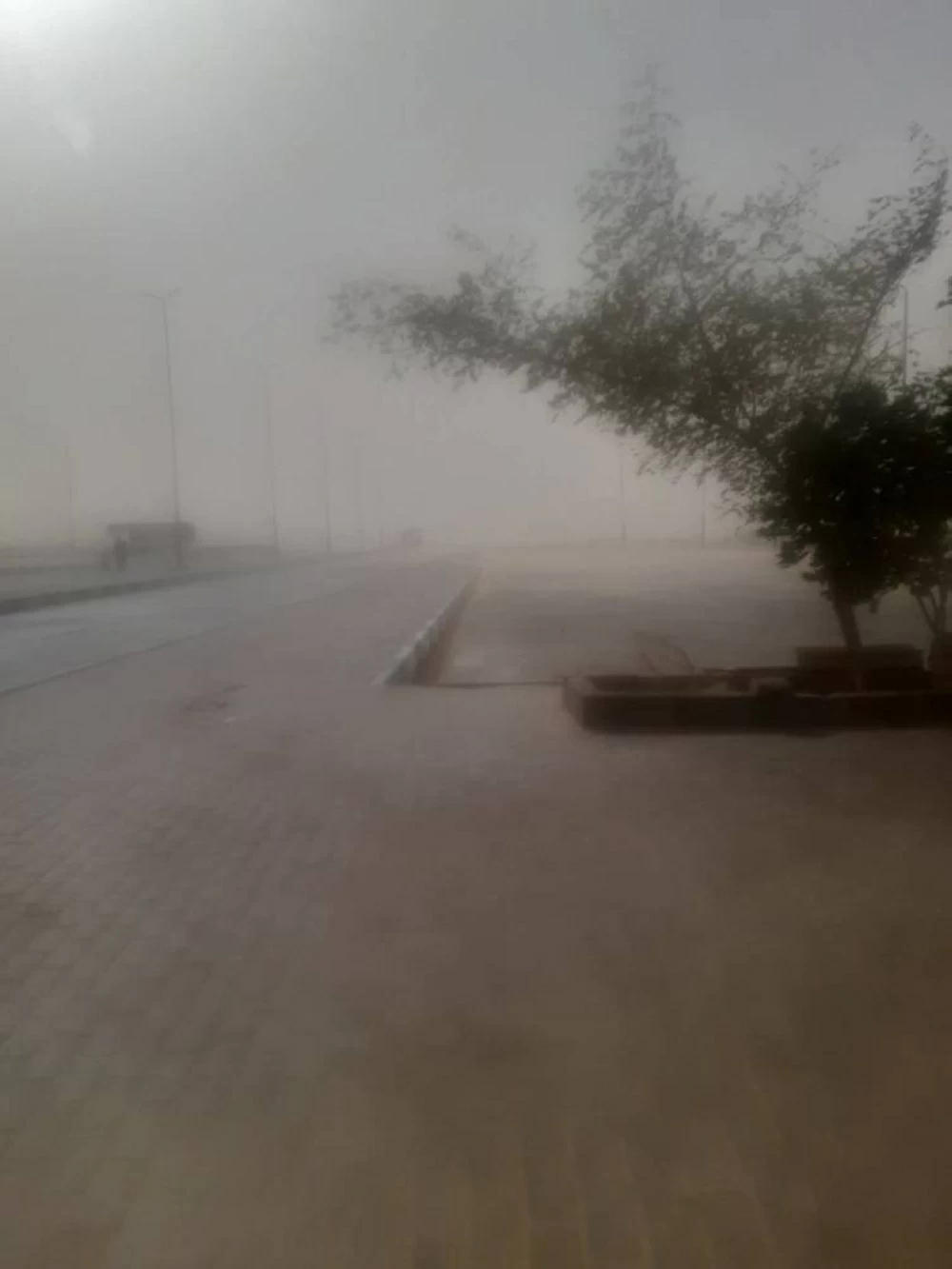 عواصف ترابية وانخفاض درجات الحرارة بالوادي الجديد.. وطوارئ لمواجهة الطقس السيئ