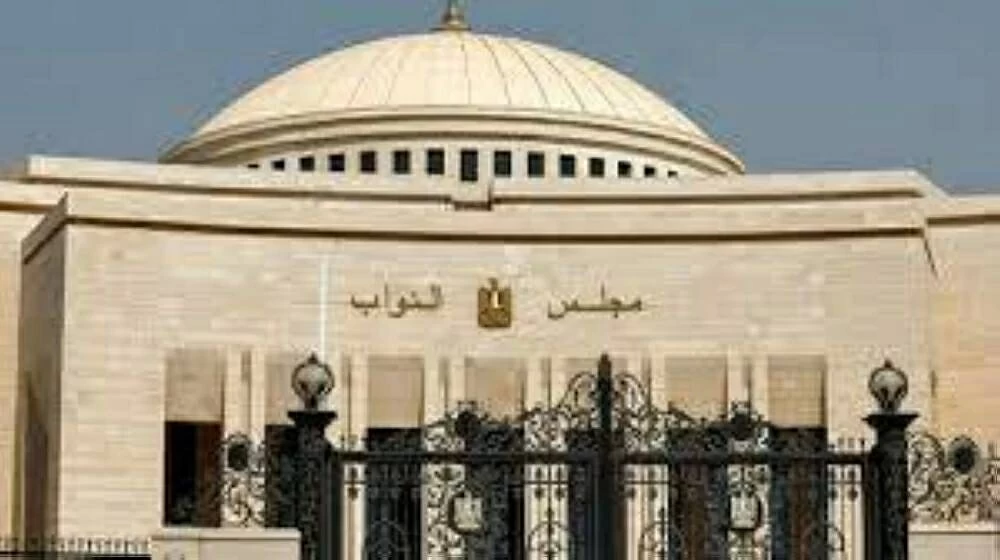 بعد قرار التعيين الرئاسي.. هل يحصل النواب المعينون على نفس الصلاحيات الكاملة لـ المنتخبين؟