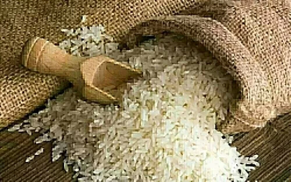 بكام الطن؟ أسعار الأرز الشعير والأبيض بـ أسواق الشرقية الخميس 12-2-2026 